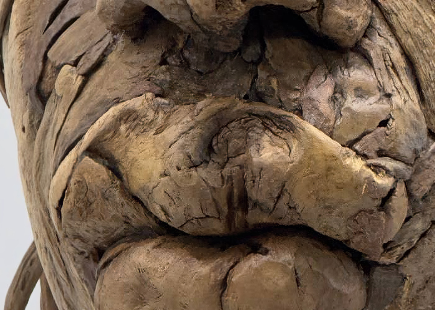 Mouth formed from fitted fragments