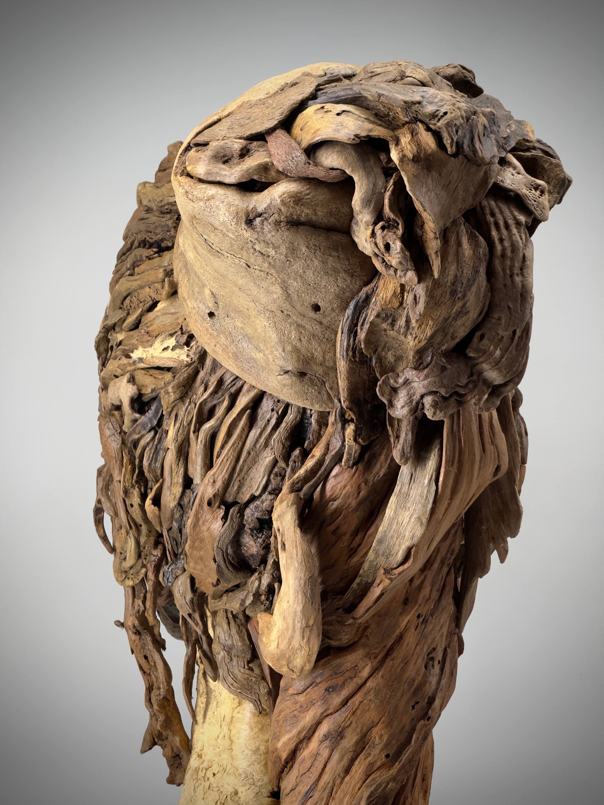 Detail of assembled driftwood